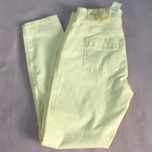 NWT Loft Pants